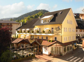 Гостиница Hotel Garni Café Räpple  Бад-Петерсталь-Грисбах